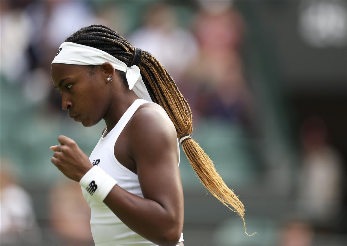 它也是一个 它也是一个