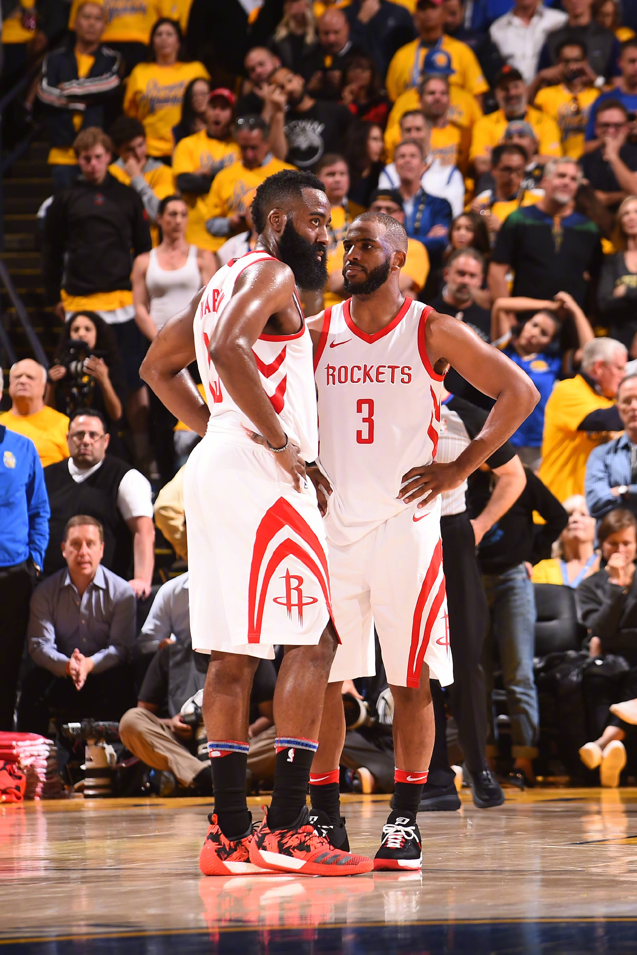 他的稳健节 他的稳健节